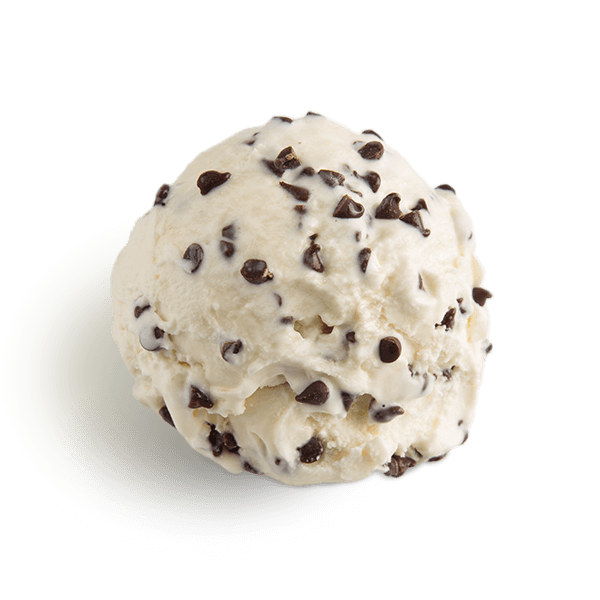 Chocolate Chip Ice Cream